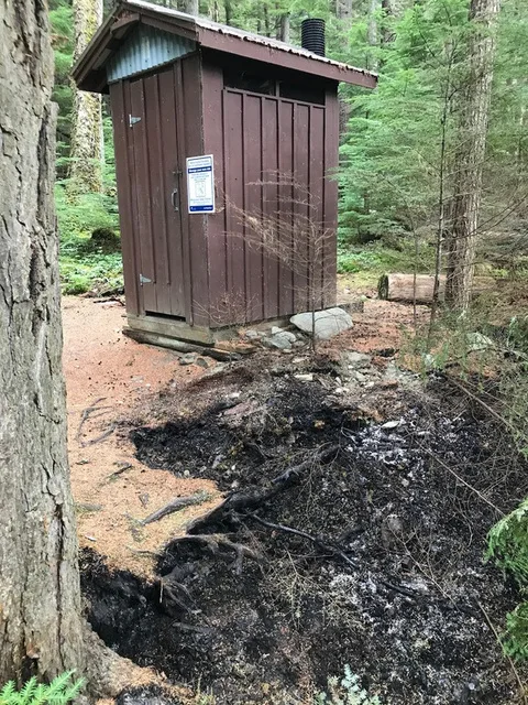 A wooden pit toilet in the trees at a Bowron Lake Circuit campsite