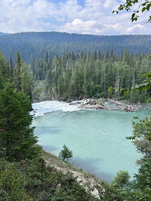 The turquoise glacial water of the Cariboo River running through forest