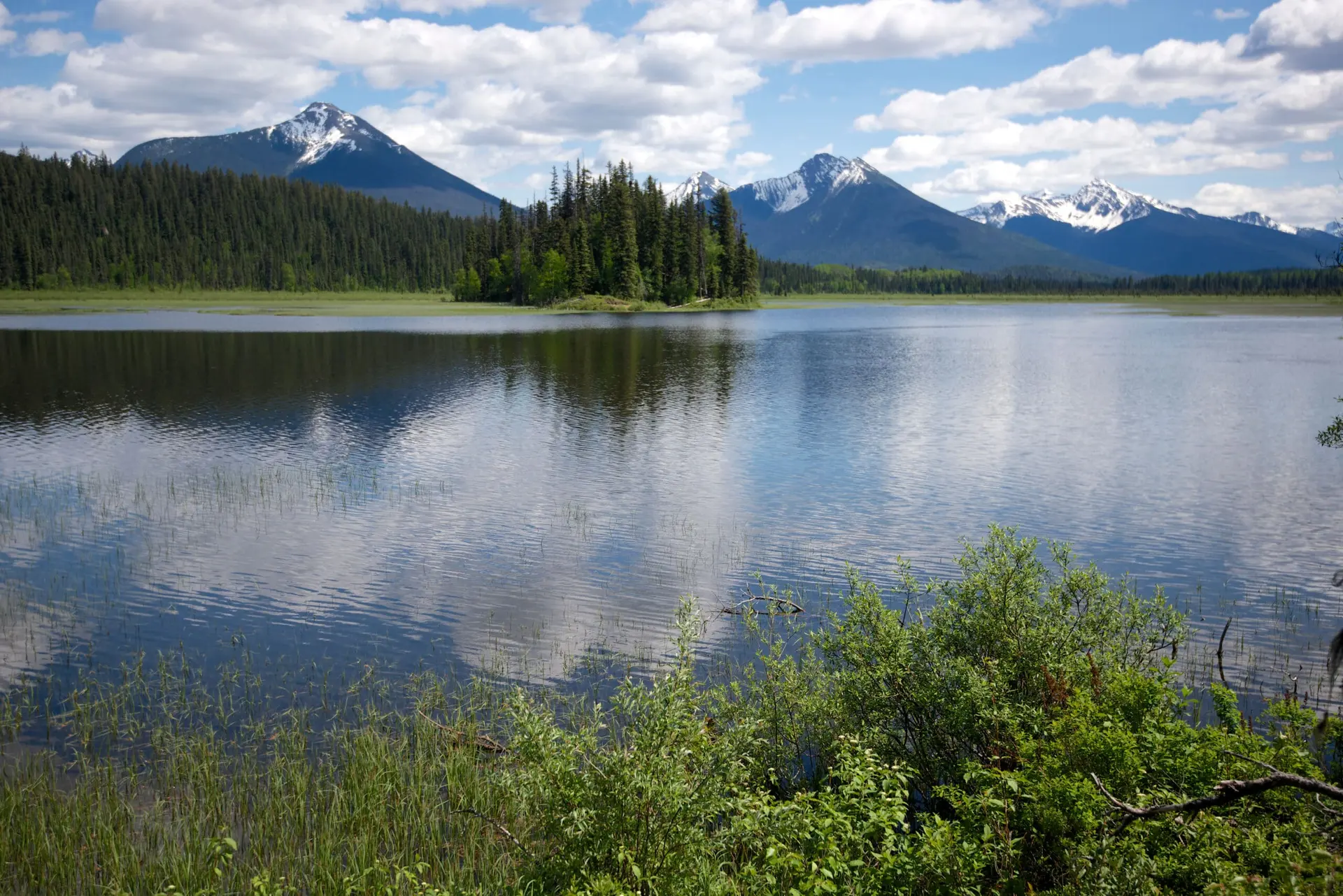 Calm water and forested shoreline on Bowron Lake, British Columbia
