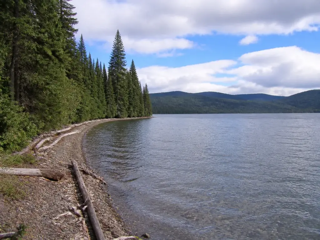The forested shoreline of Bowron Lake near the trailhead