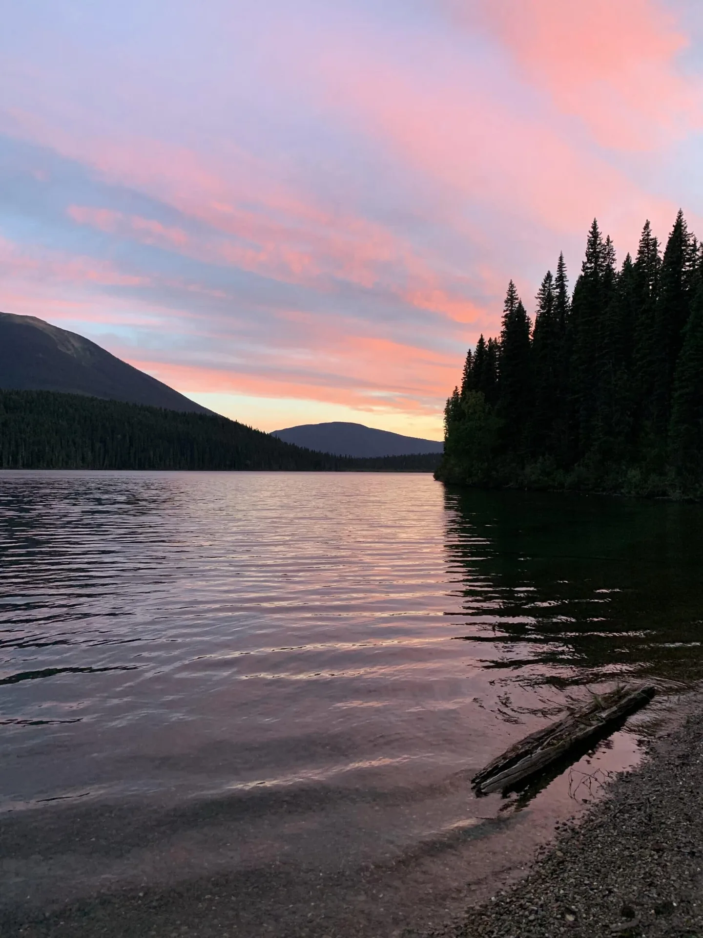 Pink sunset sky over Bowron Lake seen from a pebble shore lined with spruce