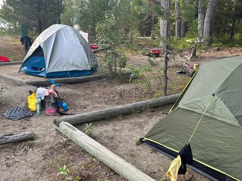 Tents pitched among the trees at a campsite on the Bowron Lake Canoe Circuit