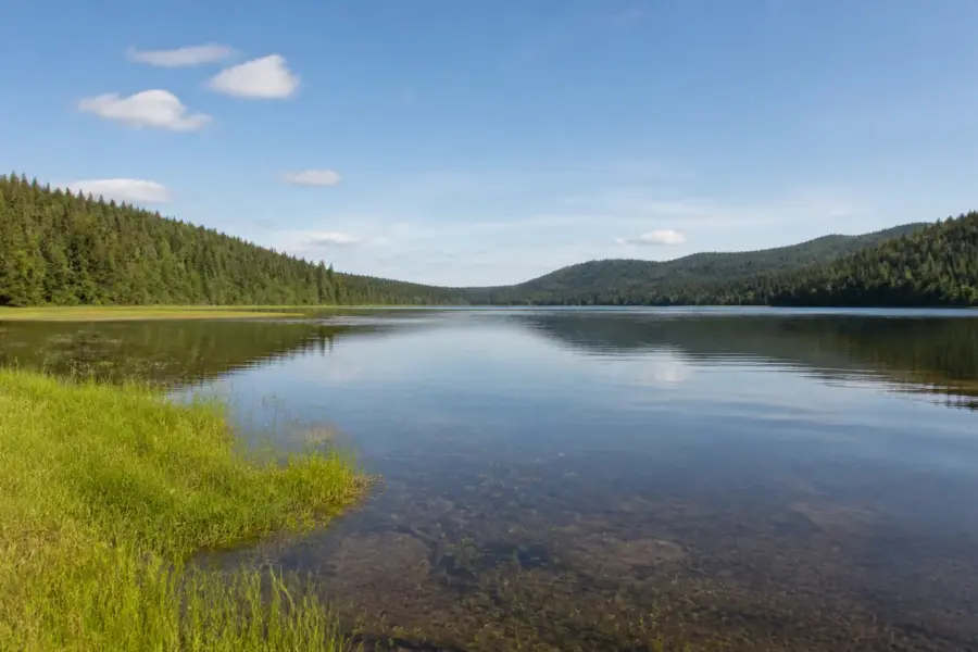 Calm sheltered water and low forested hills on the west side of the Bowron Lake Circuit