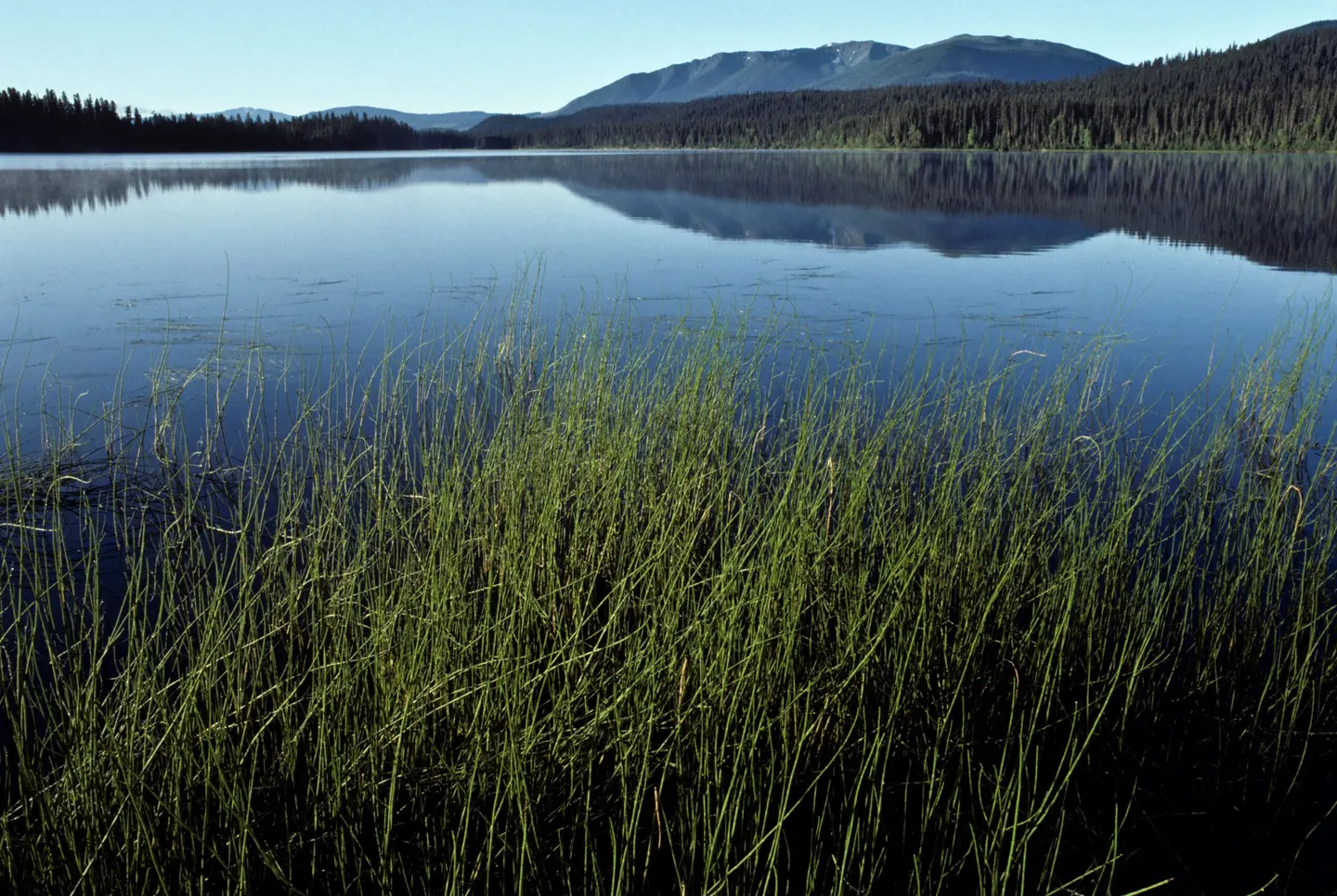 Calm evening water on Bowron Lake